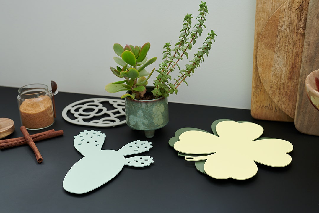 Cactus,Citron givré,Gris argile,Menthe glaciale